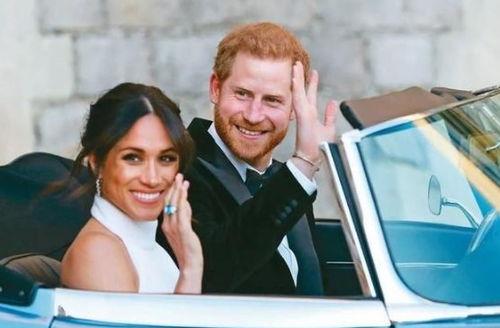 最新爆料185号梅根图片,揭开神秘面纱背后的故事